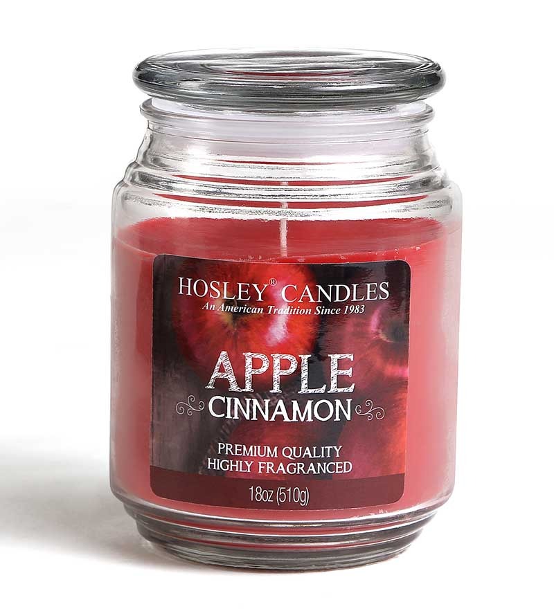 Hosley Apple Cinnamon Highly Scented, 18 Oz Wax, Big Jar Candle by Hosley Online Scented