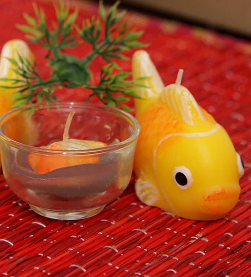 Check out our Home Blog