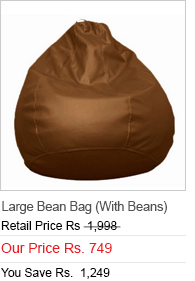 Large Bean Bag (With Beans)